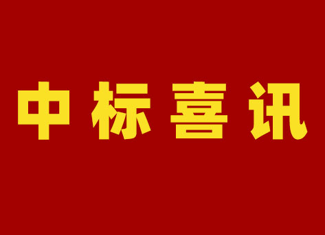 國網(wǎng)新疆電力有限公司2024年第二次配網(wǎng)物資協(xié)議庫存公開招標采購項目中標結(jié)果公告